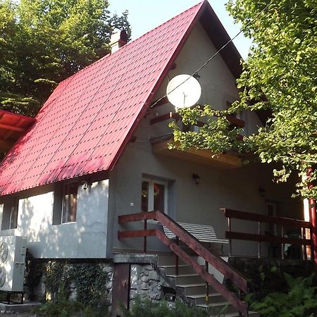 Casa De Oaspeti Boga Pietroasa  Экстерьер фото